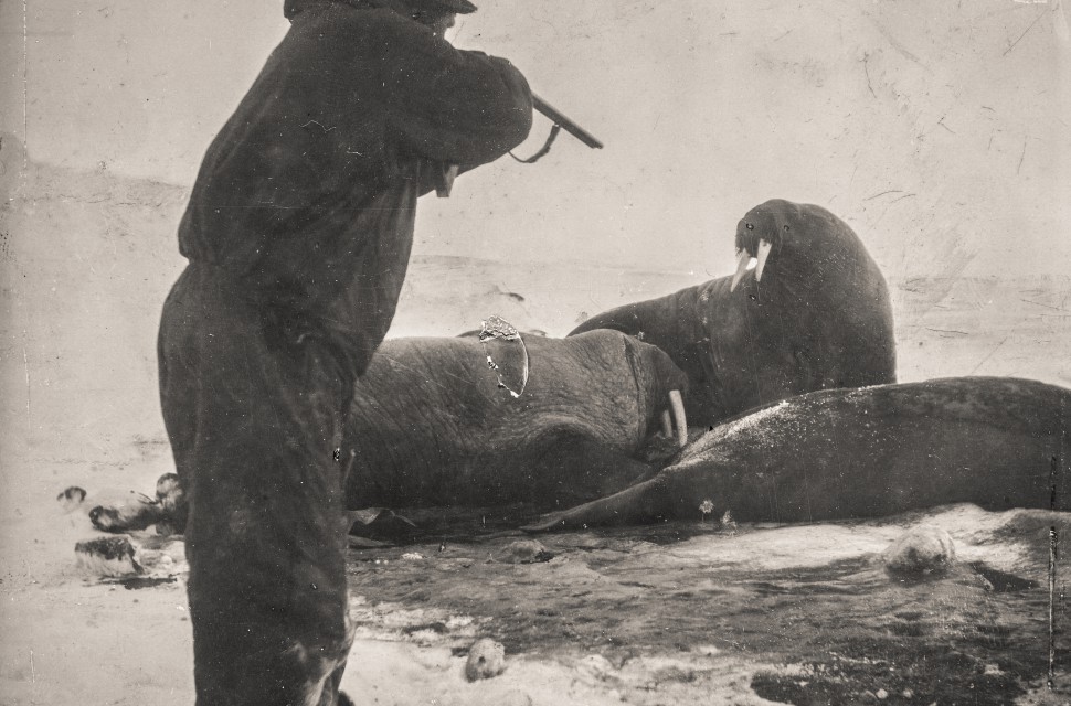 The First Fram Expedition (1893-1896) The First Fram Expedition (1893-1896)