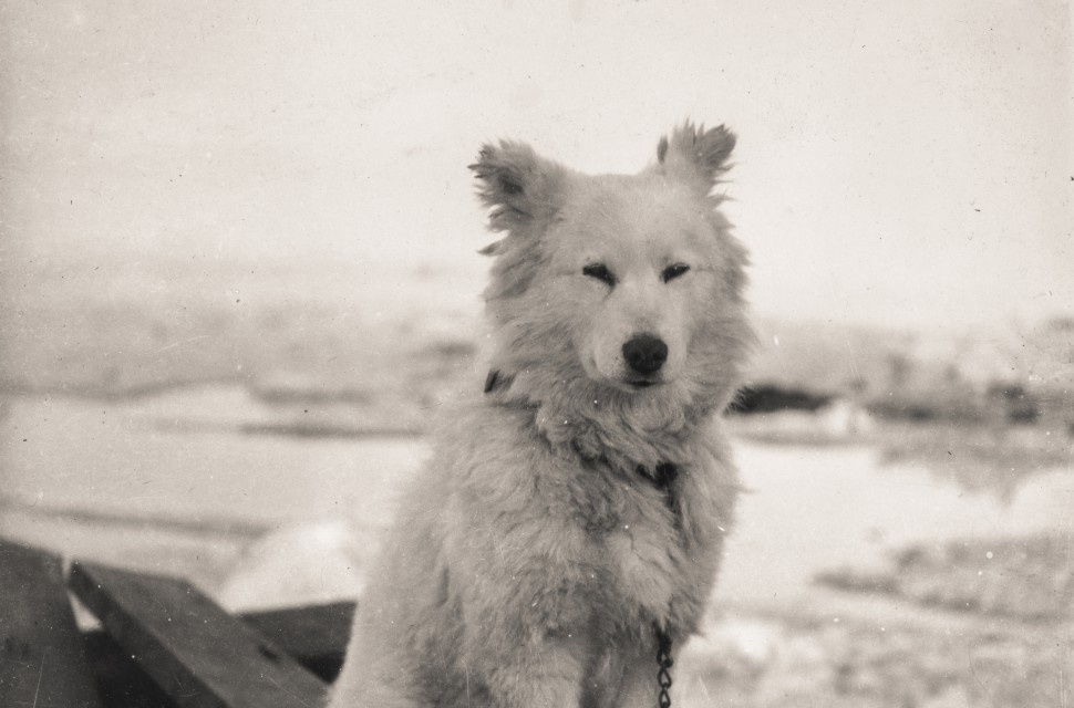 The First Fram Expedition (1893-1896) The First Fram Expedition (1893-1896)