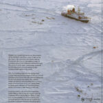 Into The Arctic Ice - Image 2