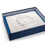 Ltd. Edition Polar Bear Paw Print in Plaster - Image 2