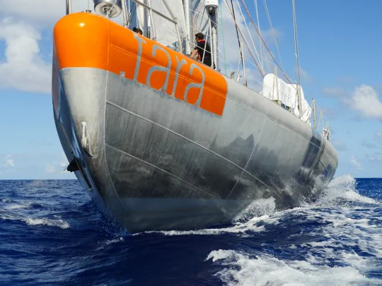 Tara Boat