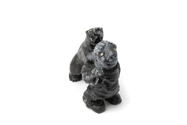 Bear And Hunter