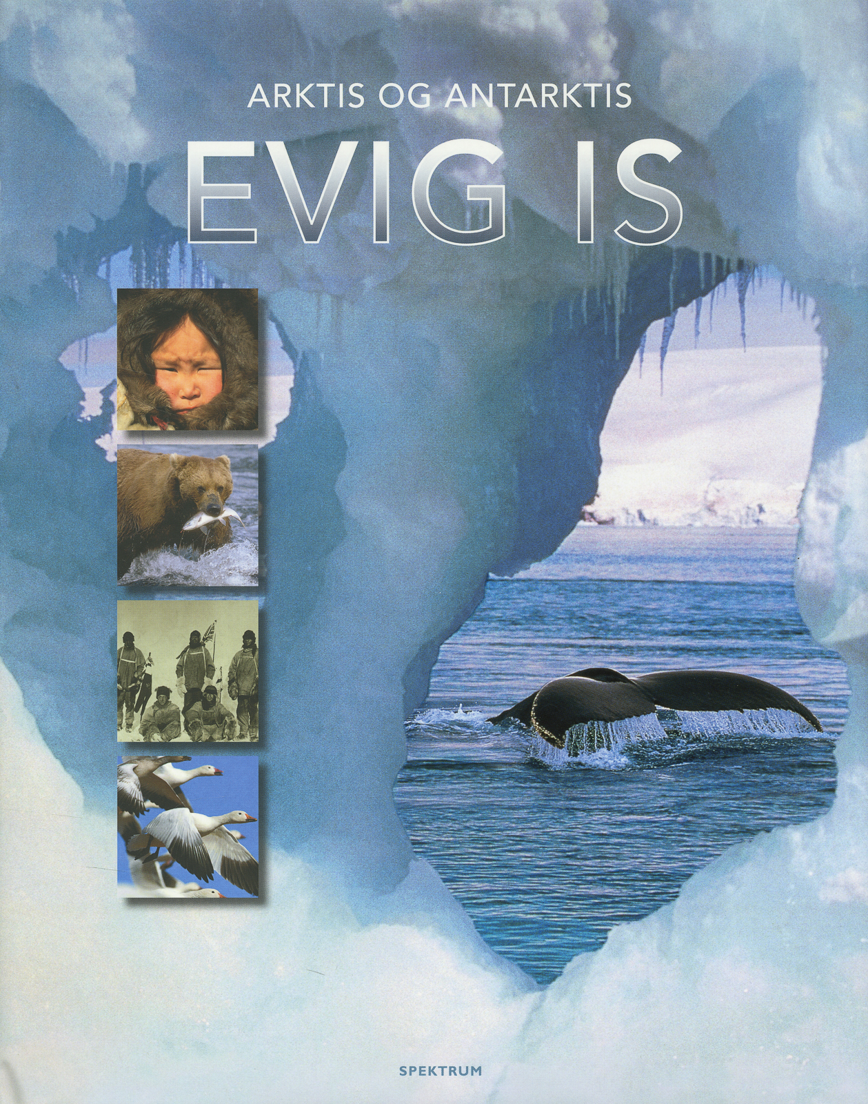 Arktis Og Antarktis - Evig Is