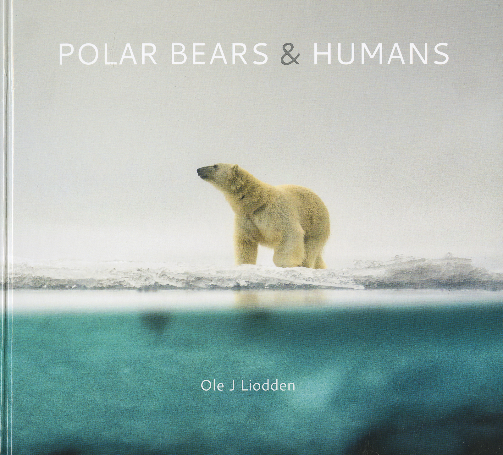 Polar Bears and Humans