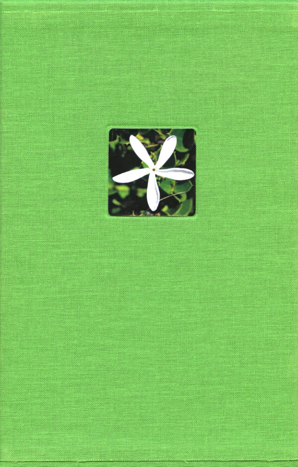 South African Traditional Medicinal Plants From Kwazulu-Natal