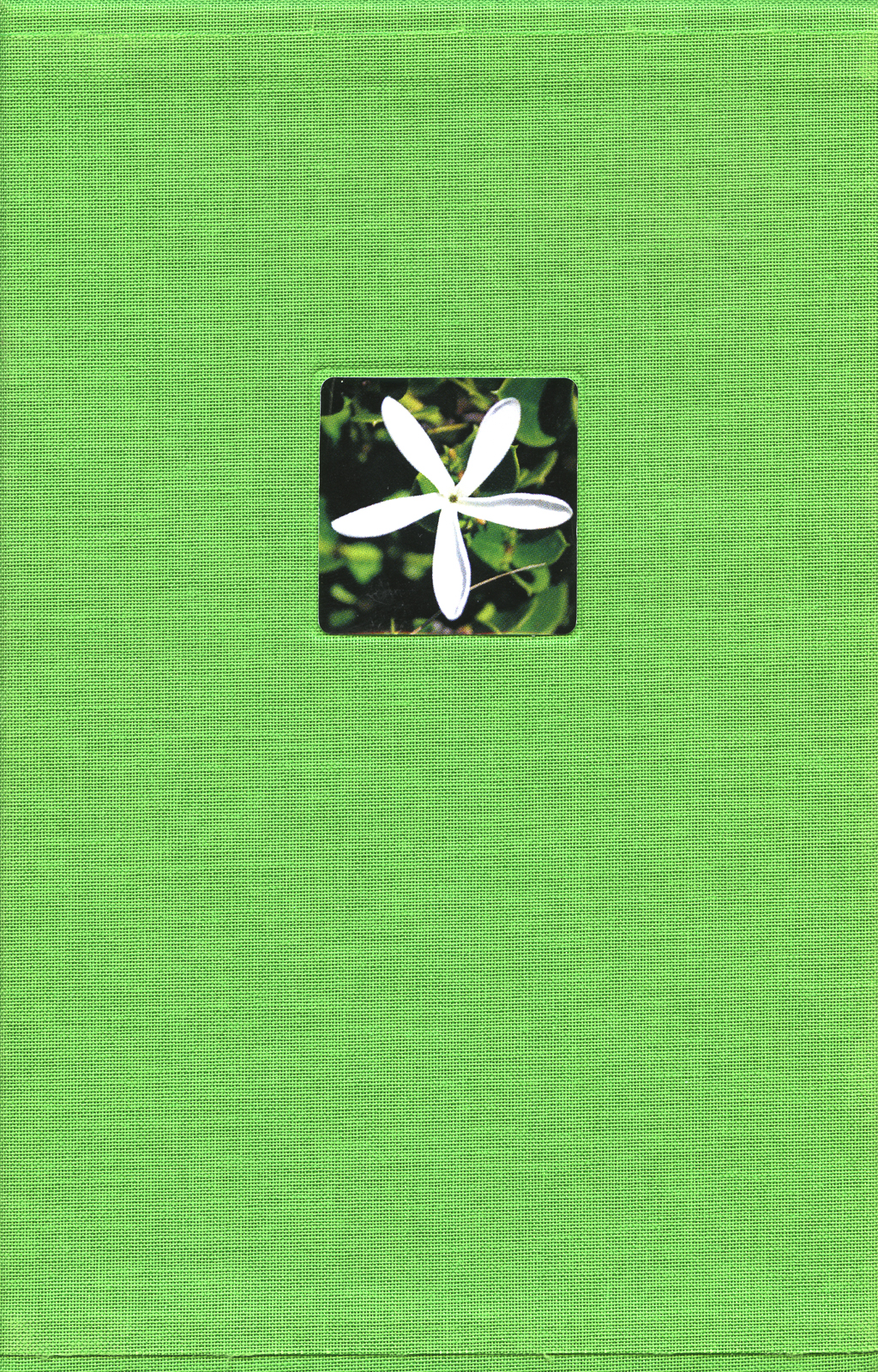 South African Traditional Medicinal Plants From Kwazulu-Natal