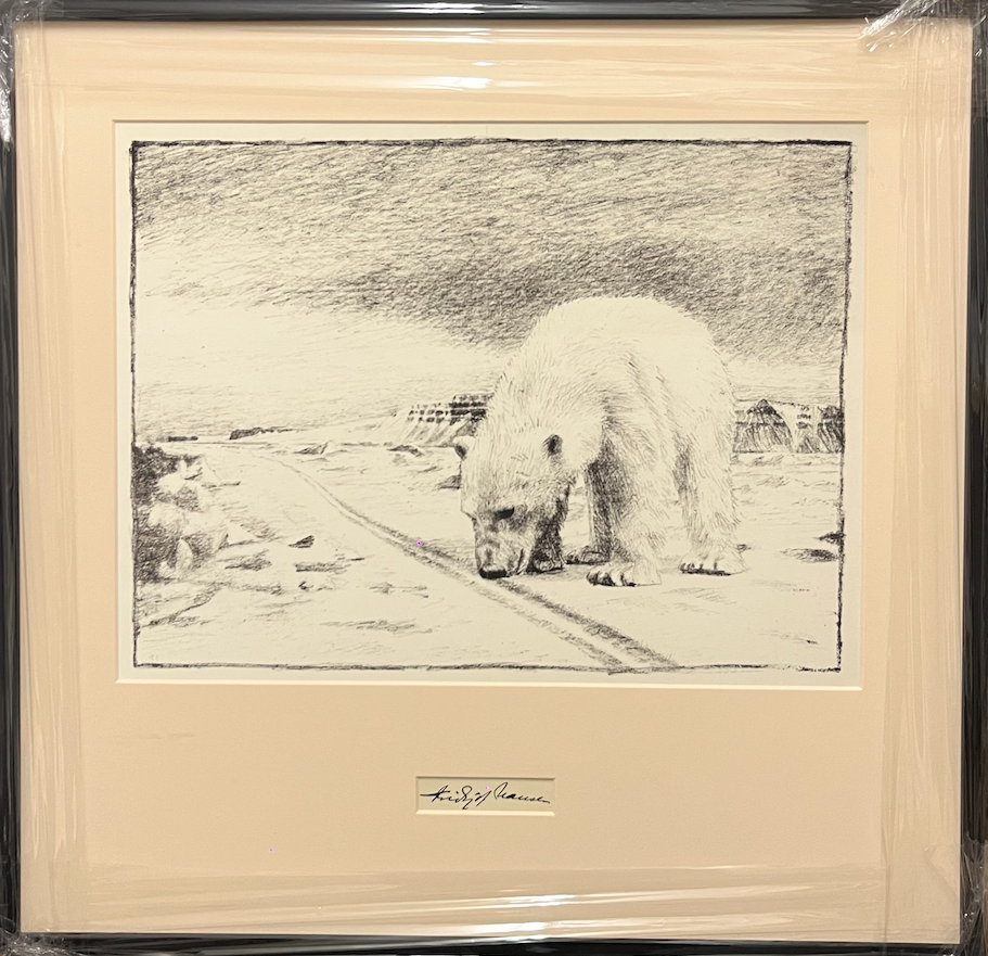 Polar Bear 1 - High Quality Framed Print - The Art Of Fridtjof Nansen