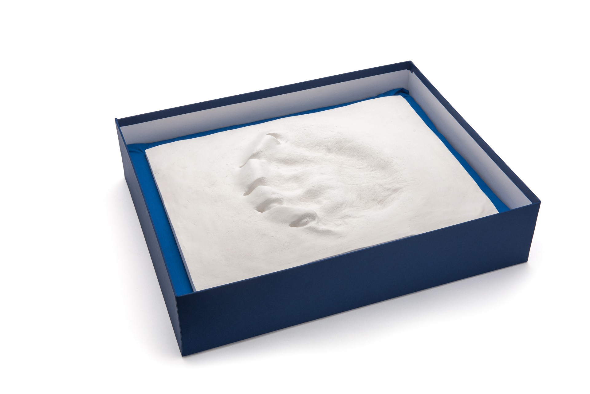 Ltd. Edition Polar Bear Paw Print in Plaster
