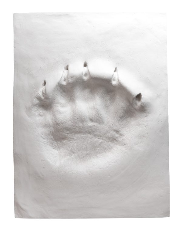 Ltd. Edition Polar Bear Paw Print in Plaster