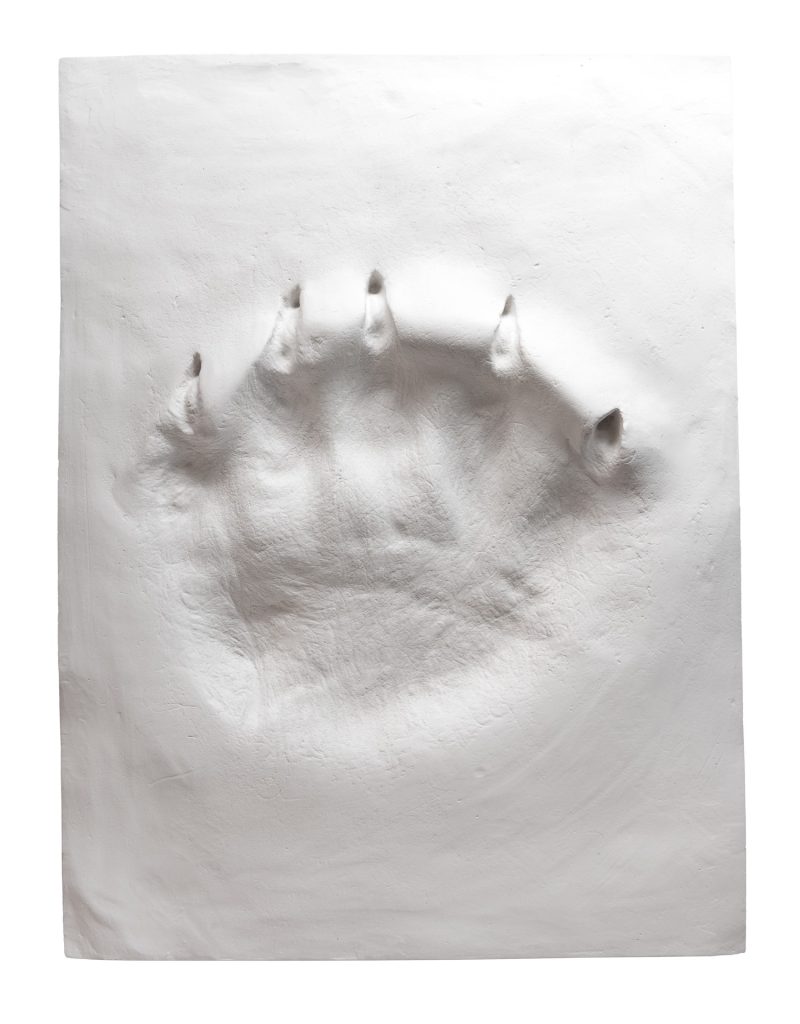 Ltd. Edition Polar Bear Paw Print in Plaster