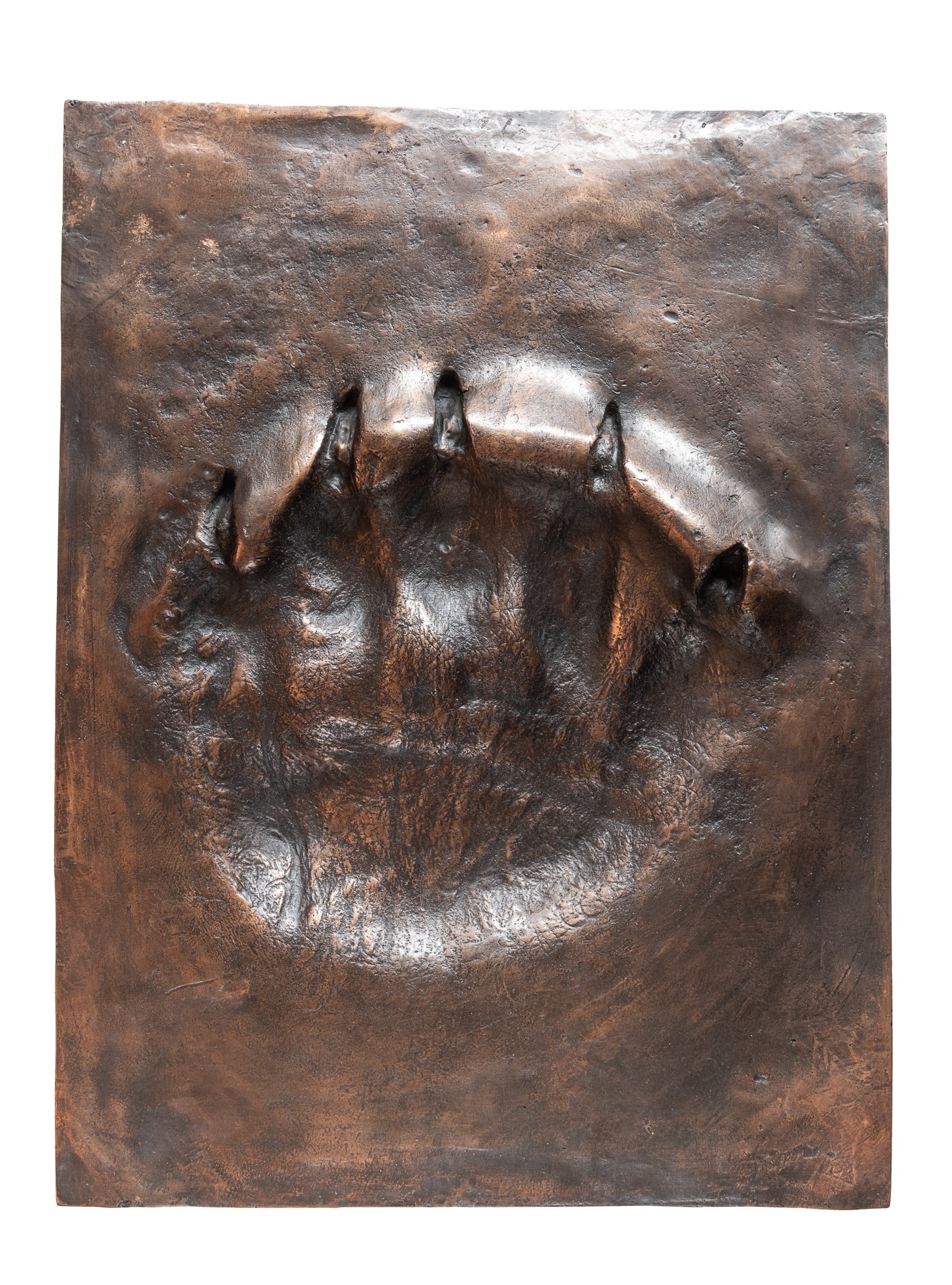 Ltd. Edition Polar Bear Paw Print in Bronze