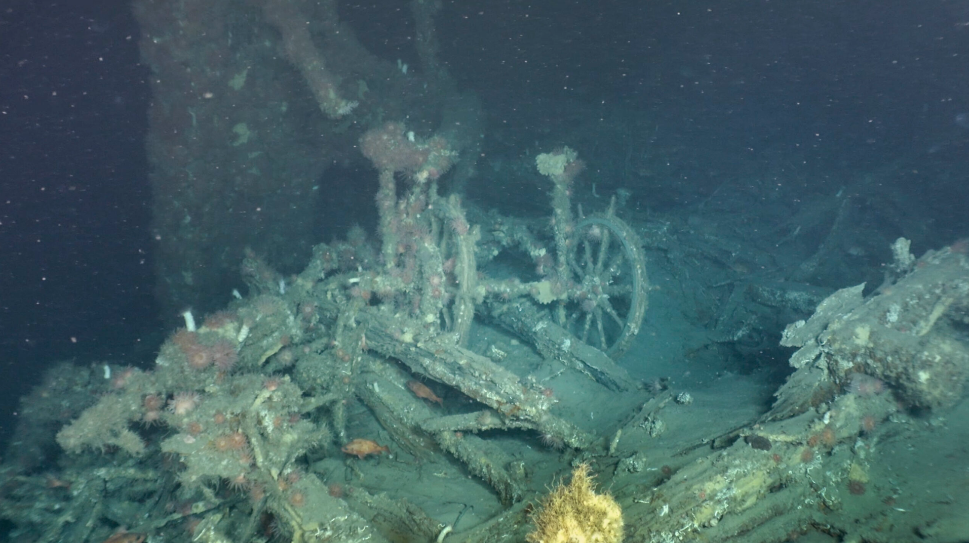 New images from the wreck of the Terra Nova from the Heroic Age Expedition!
