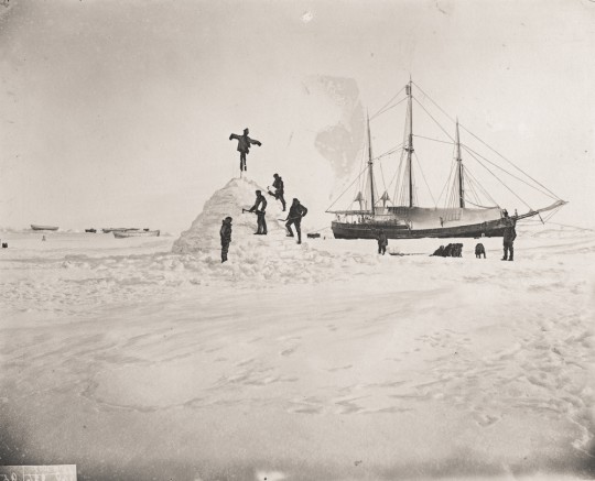 Første Fram-ferd (1893–1896)