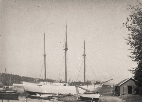 The Maud Expedition (1918-1925)